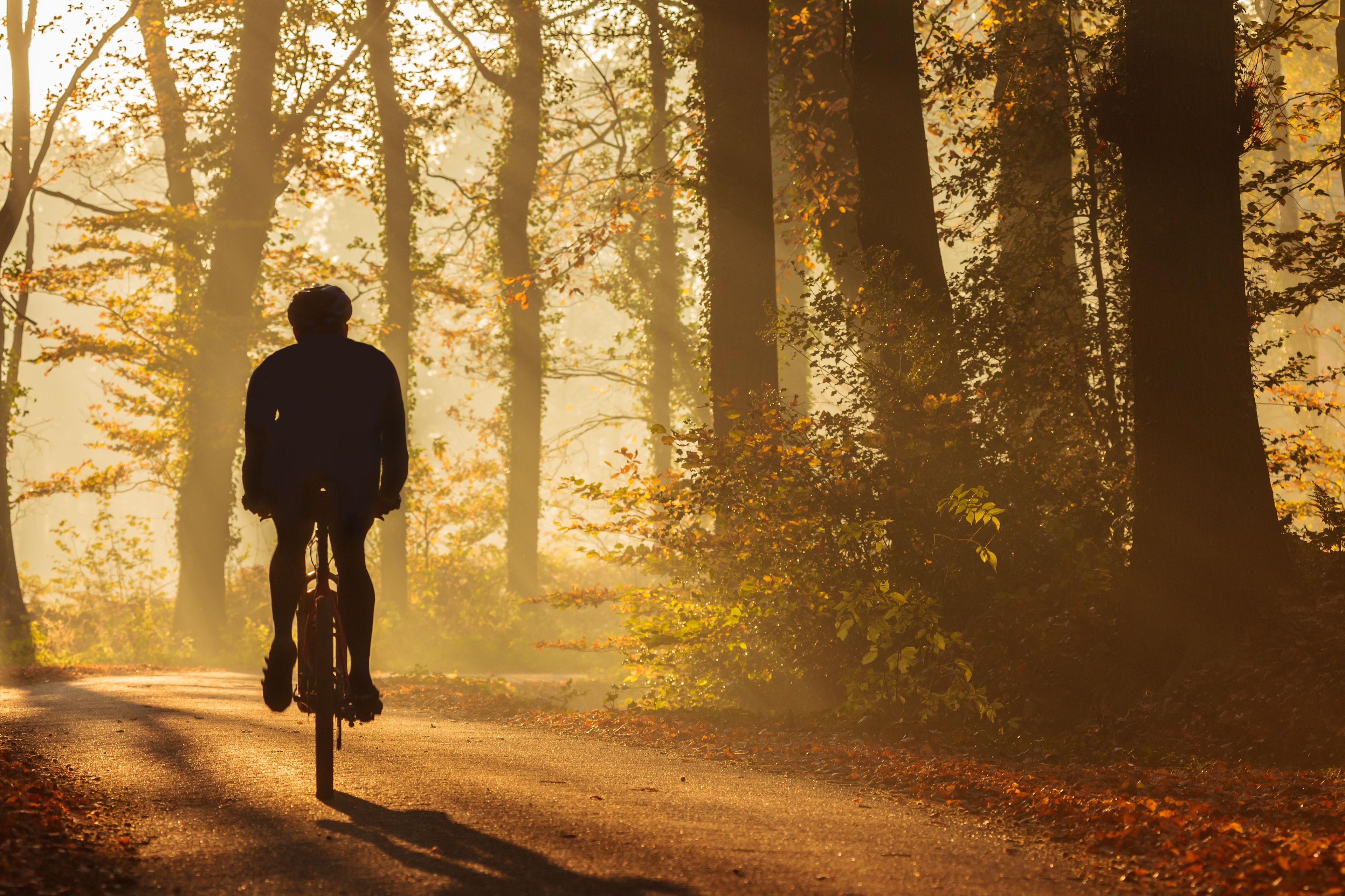 Cycliste en forêt