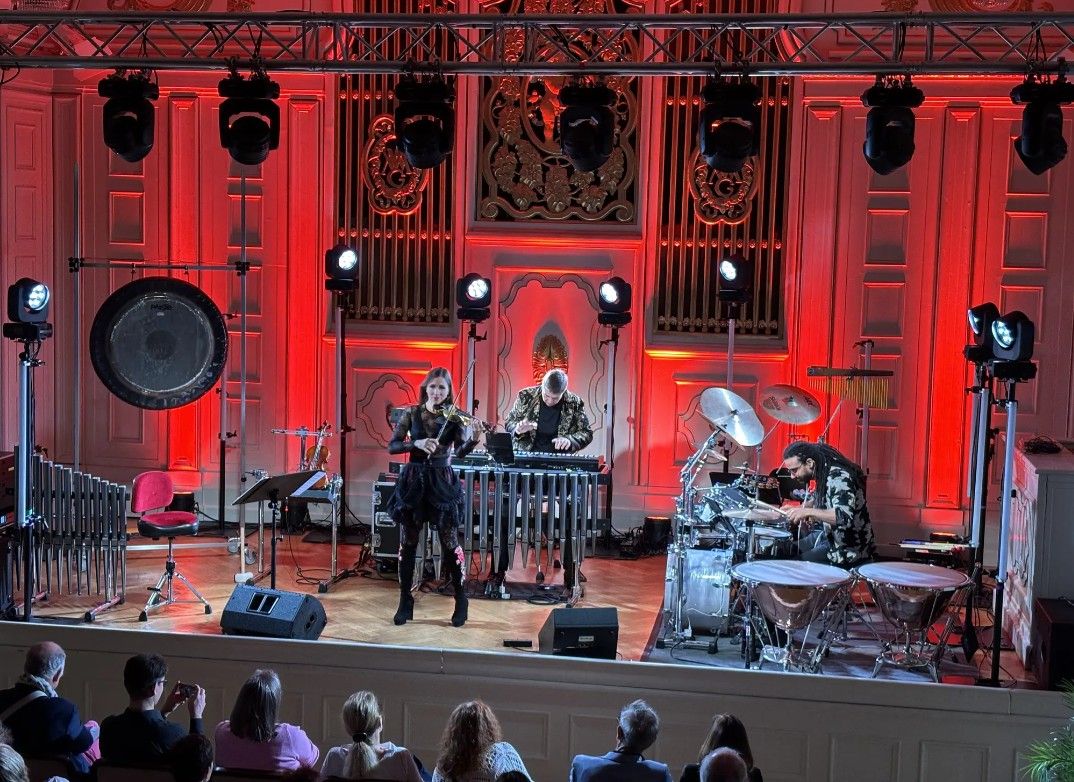 Musiker auf der Bühne 