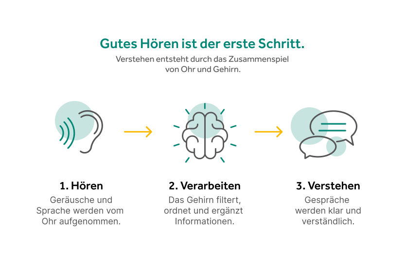 Zusammenspiel Gehör und Gehirn 