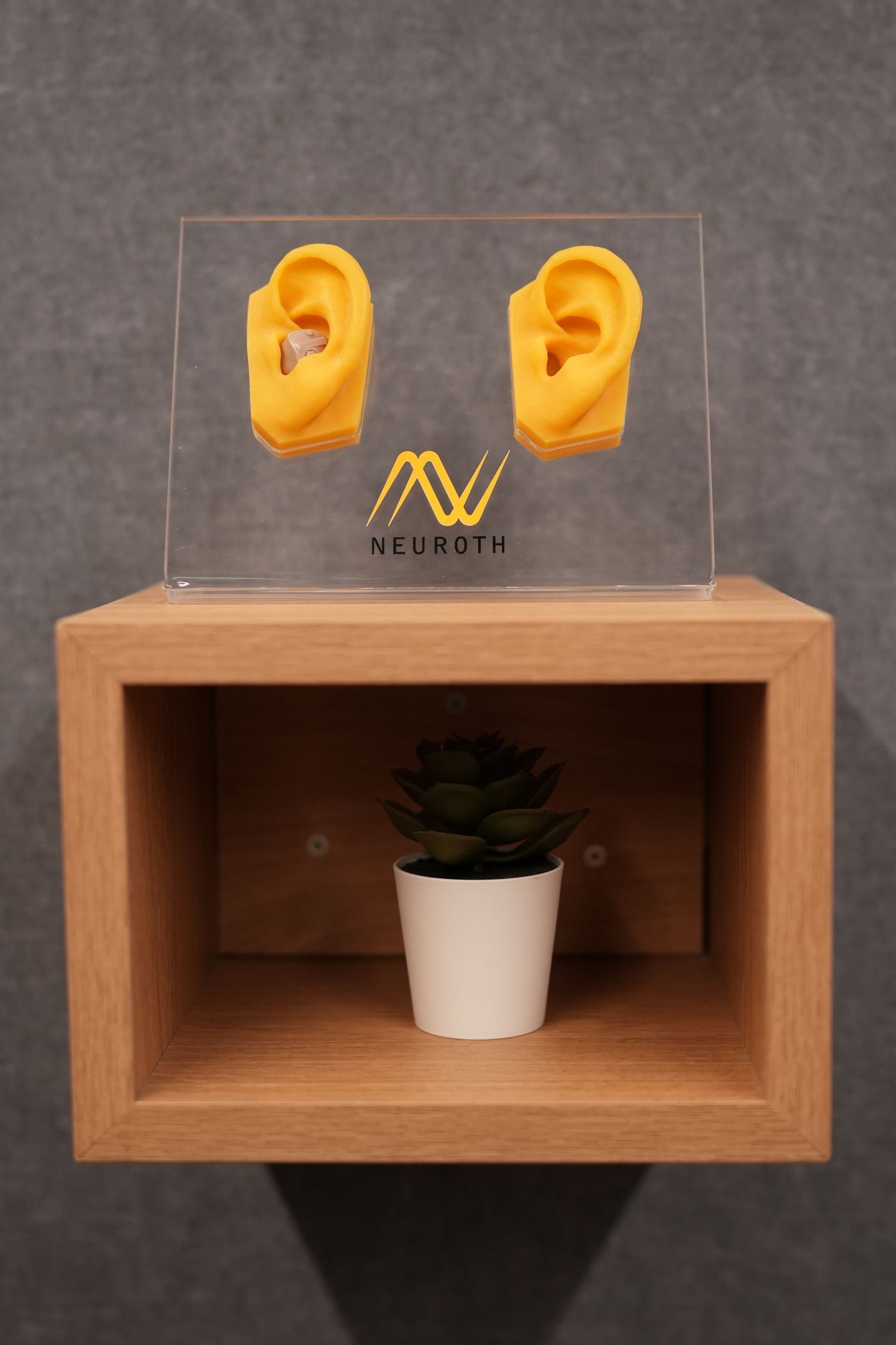 dva  plasticna anatomska prikaza ljudskog uha zute boje sa Neuroth logom